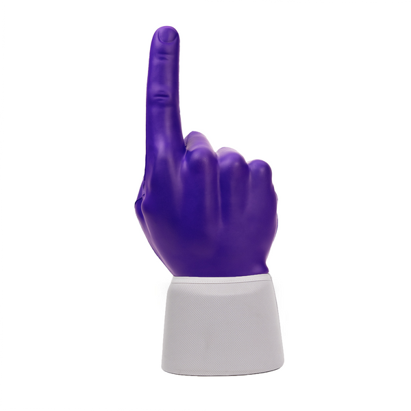 Charlotte Hornets RadHand Foam Finger